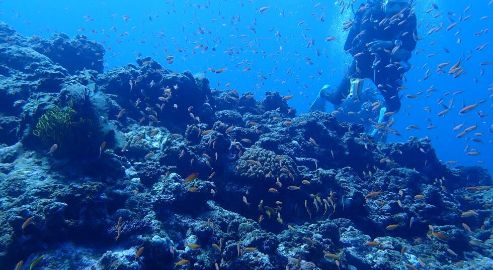 カラカラ先生 伊良部島