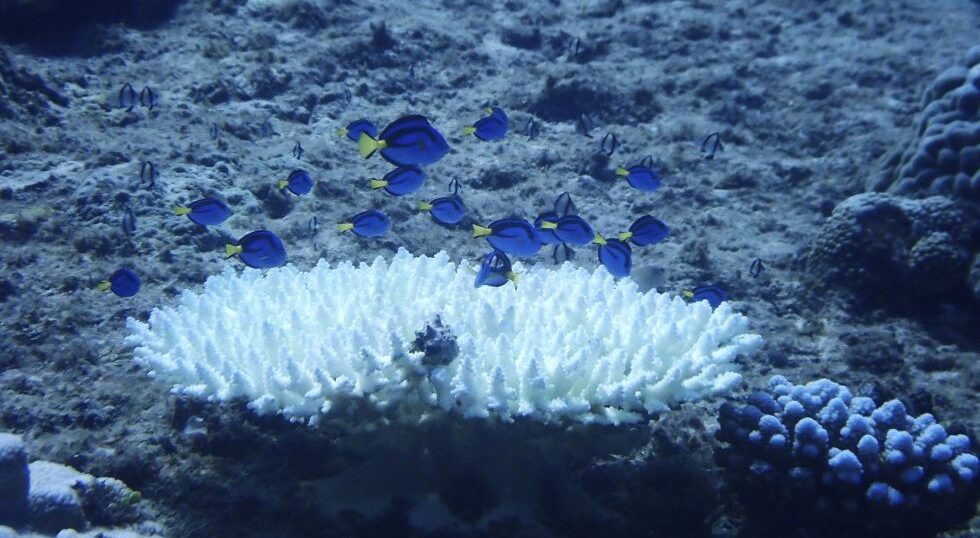 カラカラ先生のダイビングスクール　下地島