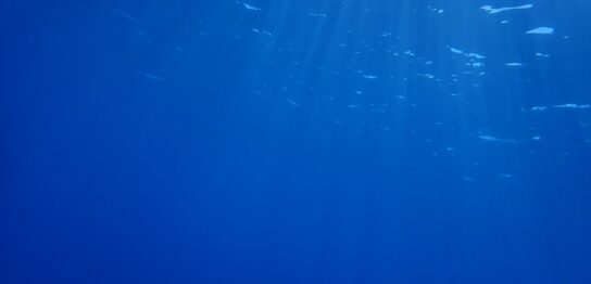 カラカラ先生のダイビングスクール下地エリア