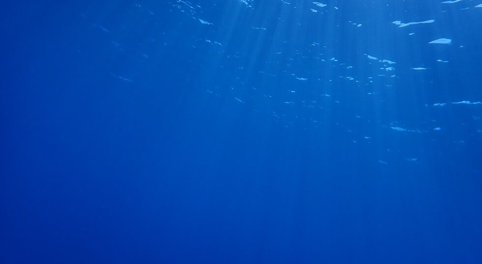 カラカラ先生のダイビングスクール下地エリア