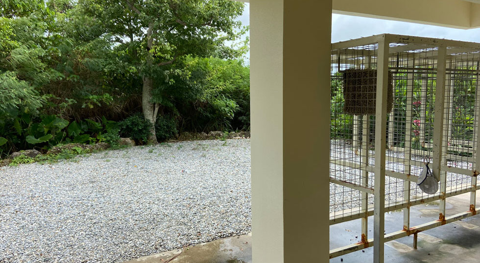 カラカラ先生のダイビングスクール　宮古島