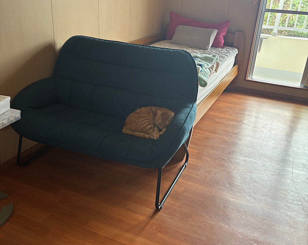 カラカラ先生冬季休業中