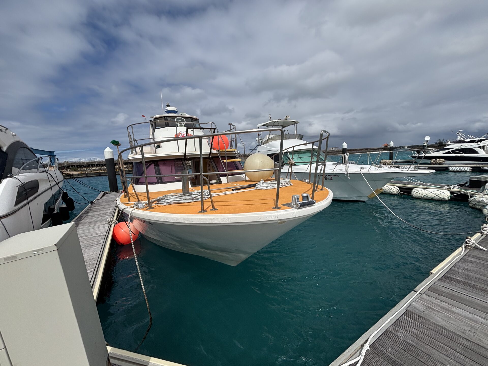 カラカラ先生陸作業