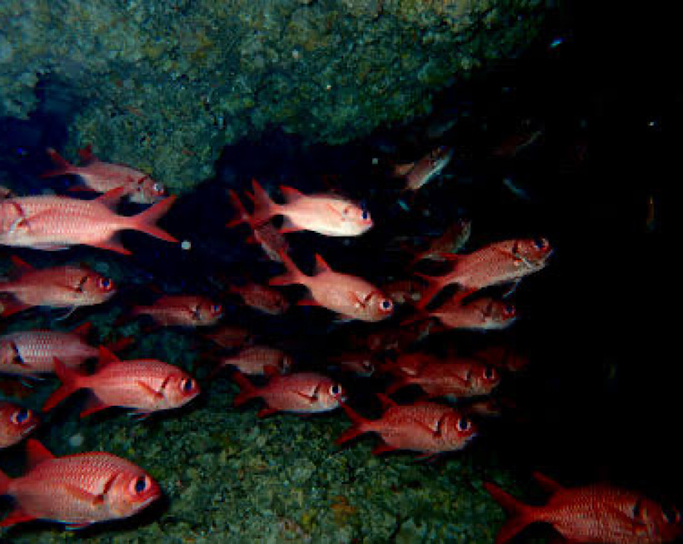 カラカラ先生下地島