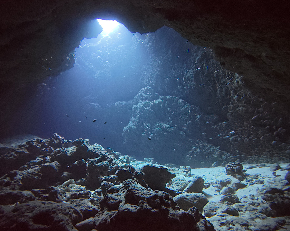 カラカラ先生伊良部島