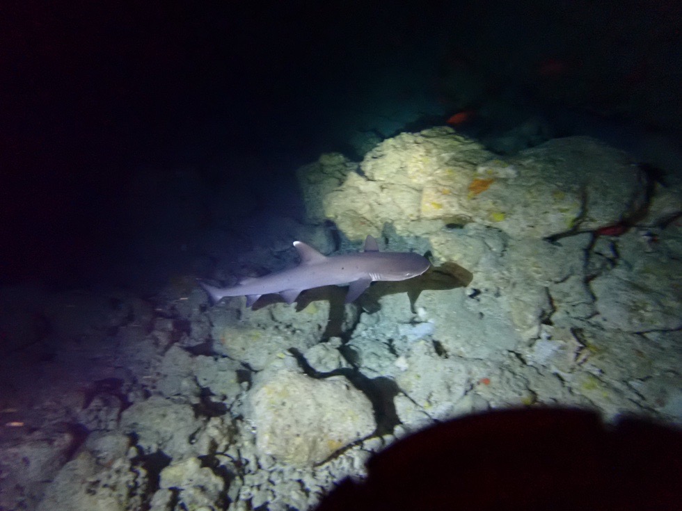 カラカラ先生下地島