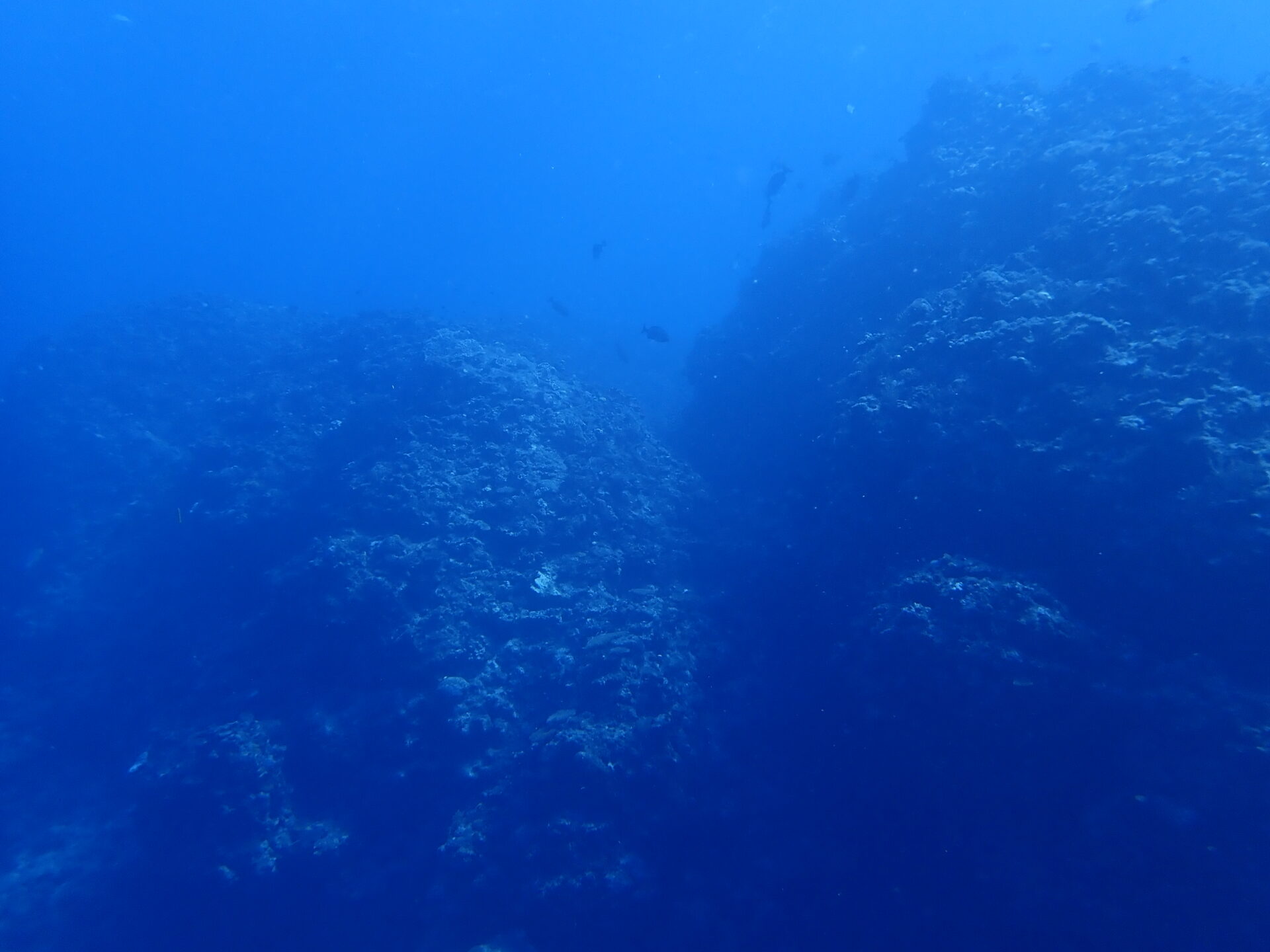 カラカラ先生　下地島