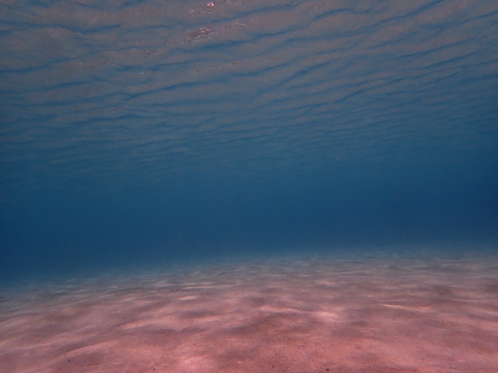 カラカラ先生ビーチ