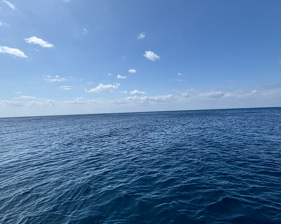 カラカラ先生南海岸