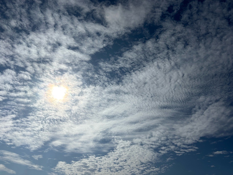 カラカラ先生伊良部島