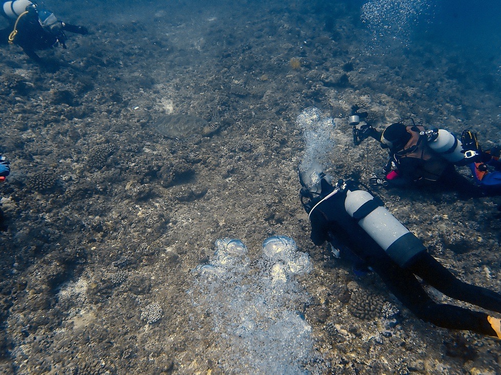 カラカラ先生伊良部島