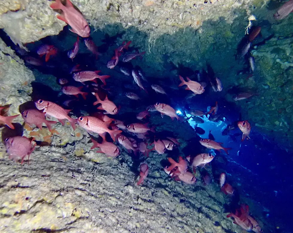 カラカラ先生下地島