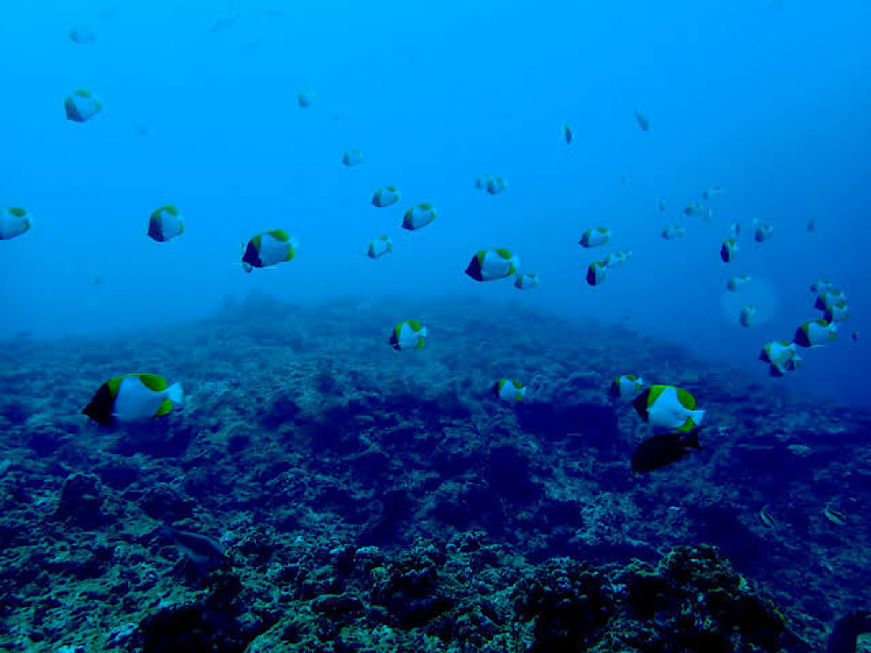 カラカラ先生下地島