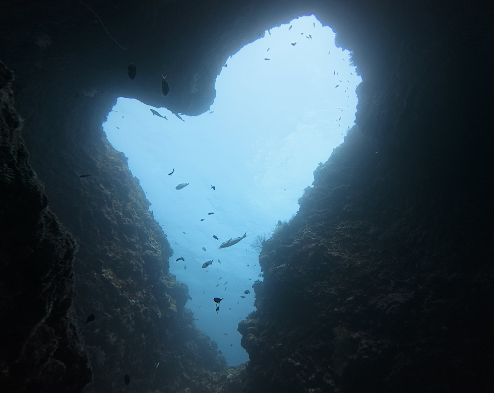 カラカラ先生伊良部島