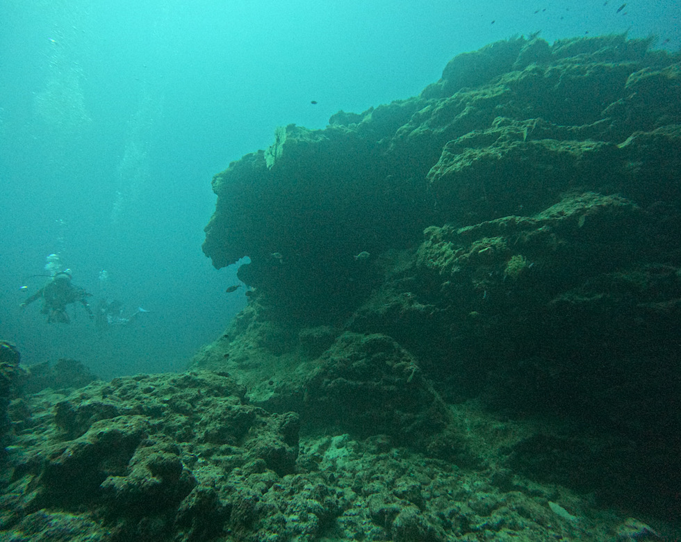 カラカラ先生伊良部島