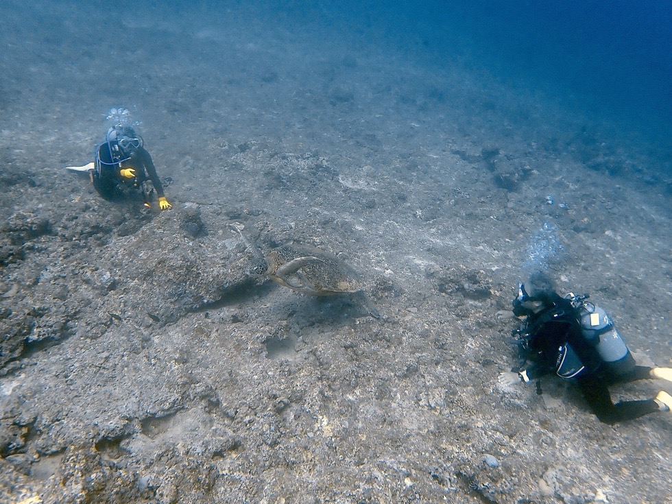 カラカラ先生伊良部島