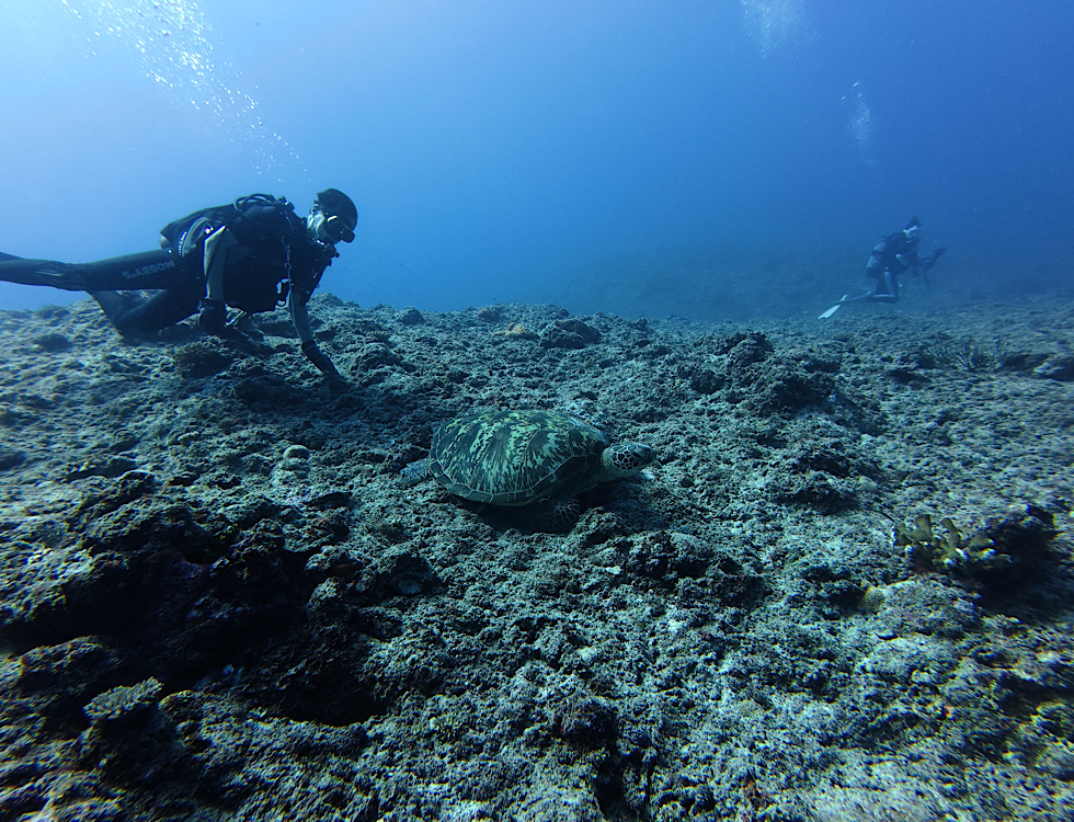 カラカラ先生伊良部島