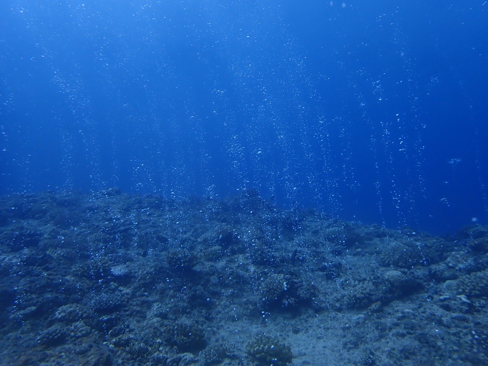 カラカラ先生伊良部島
