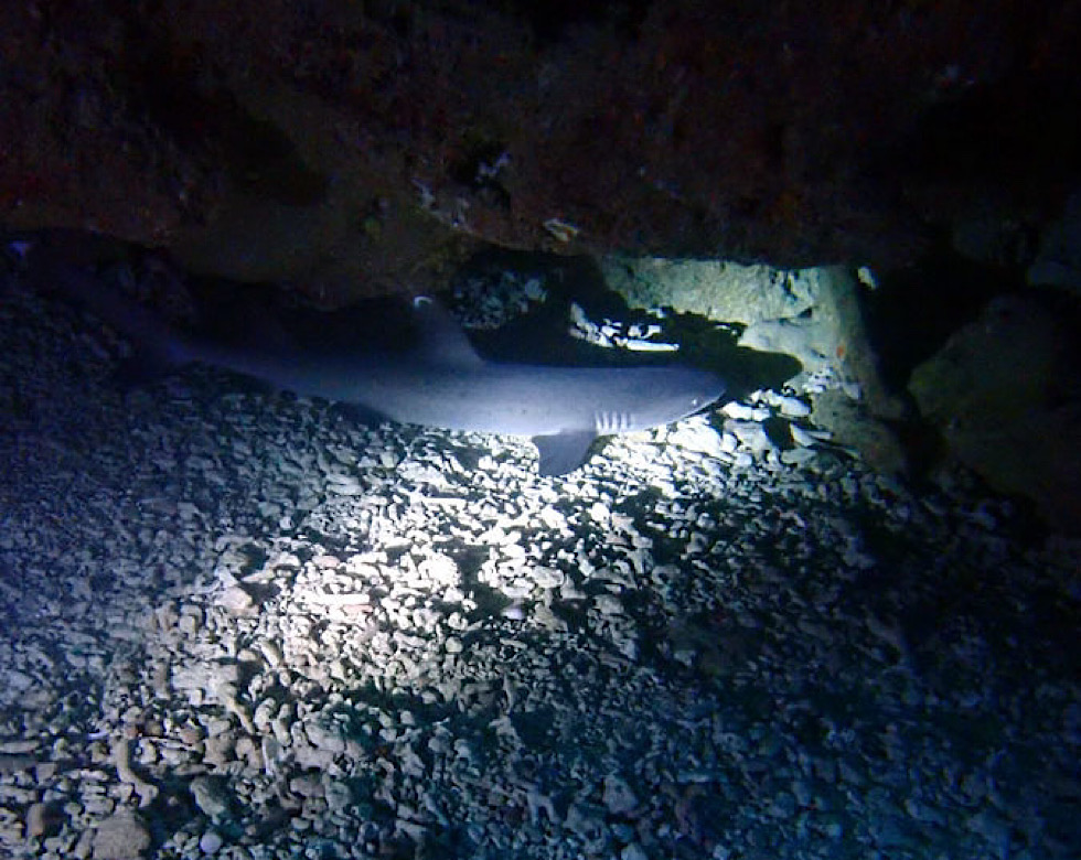 カラカラ先生下地島