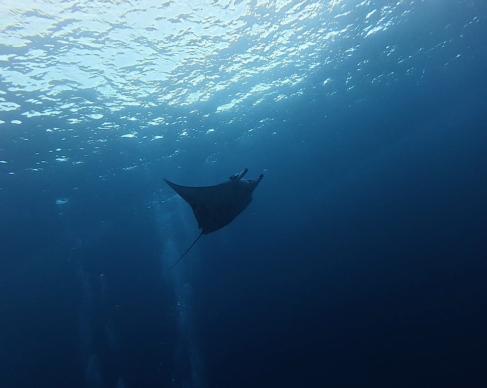 カラカラ先生下地島