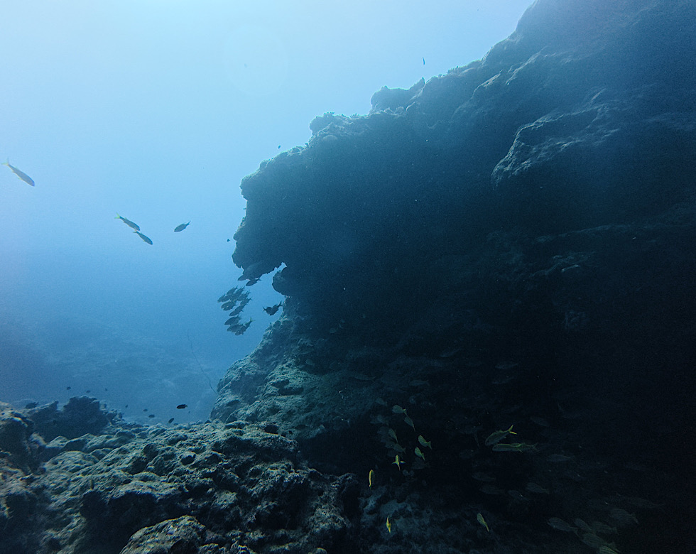 カラカラ先生下地島
