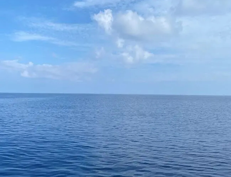 カラカラ先生やびじ