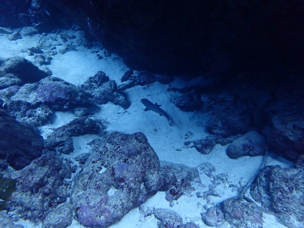 カラカラ先生下地島