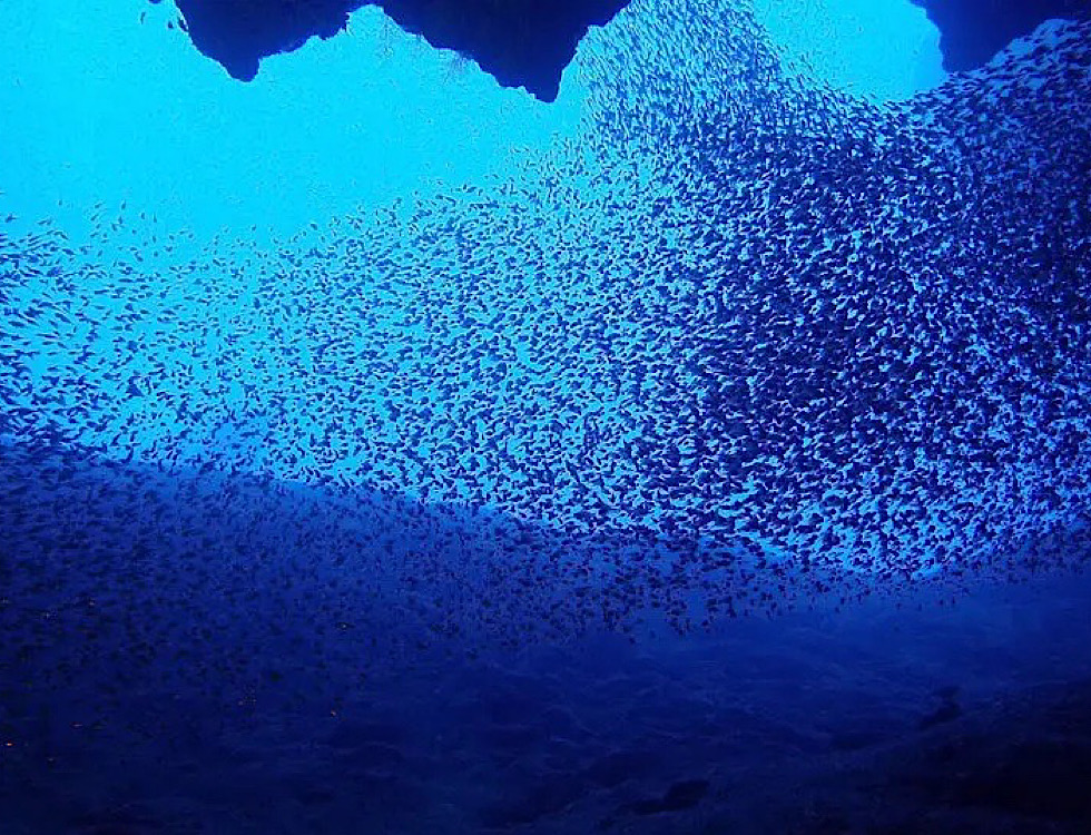 カラカラ先生下地島