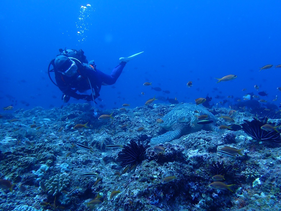 カラカラ先生下地島