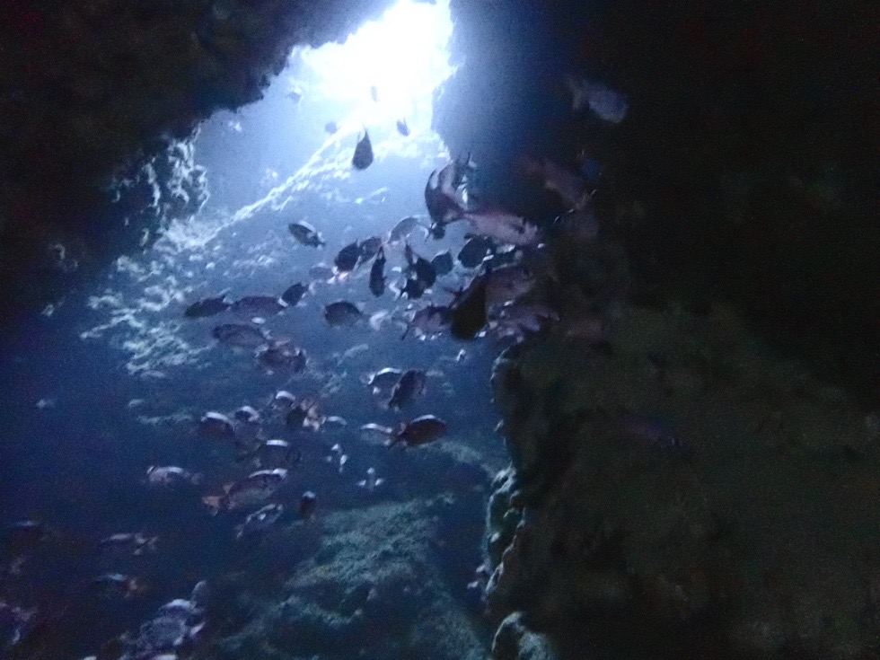 カラカラ先生下地島