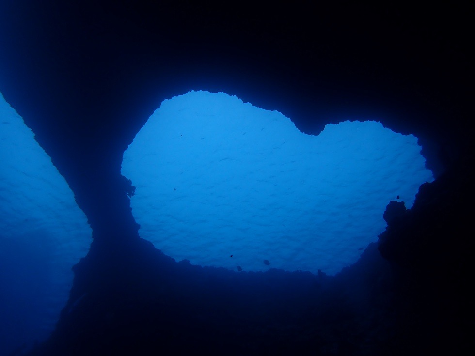 カラカラ先生伊良部島