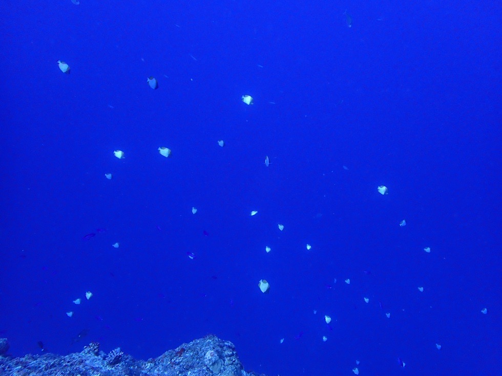 カラカラ先生下地島