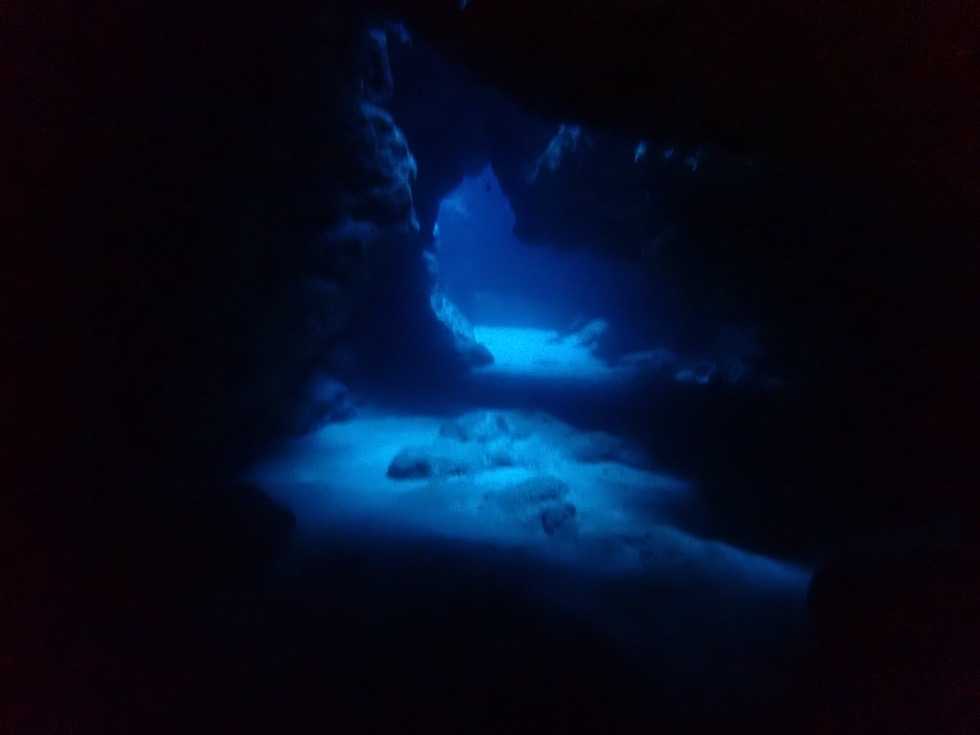 カラカラ先生南海岸