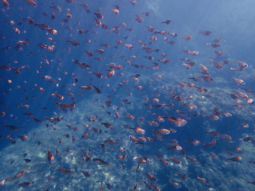 カラカラ先生下地島