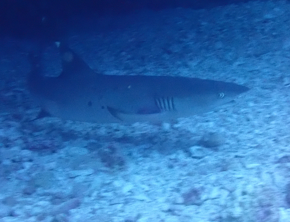カラカラ先生下地島