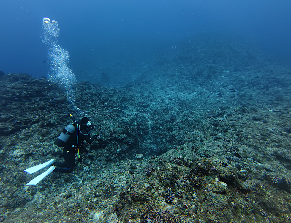 カラカラ先生下地島