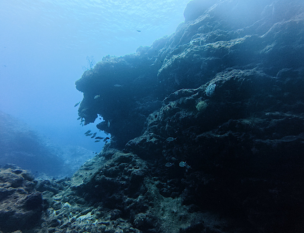 カラカラ先生下地島