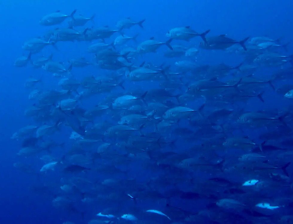カラカラ先生下地島