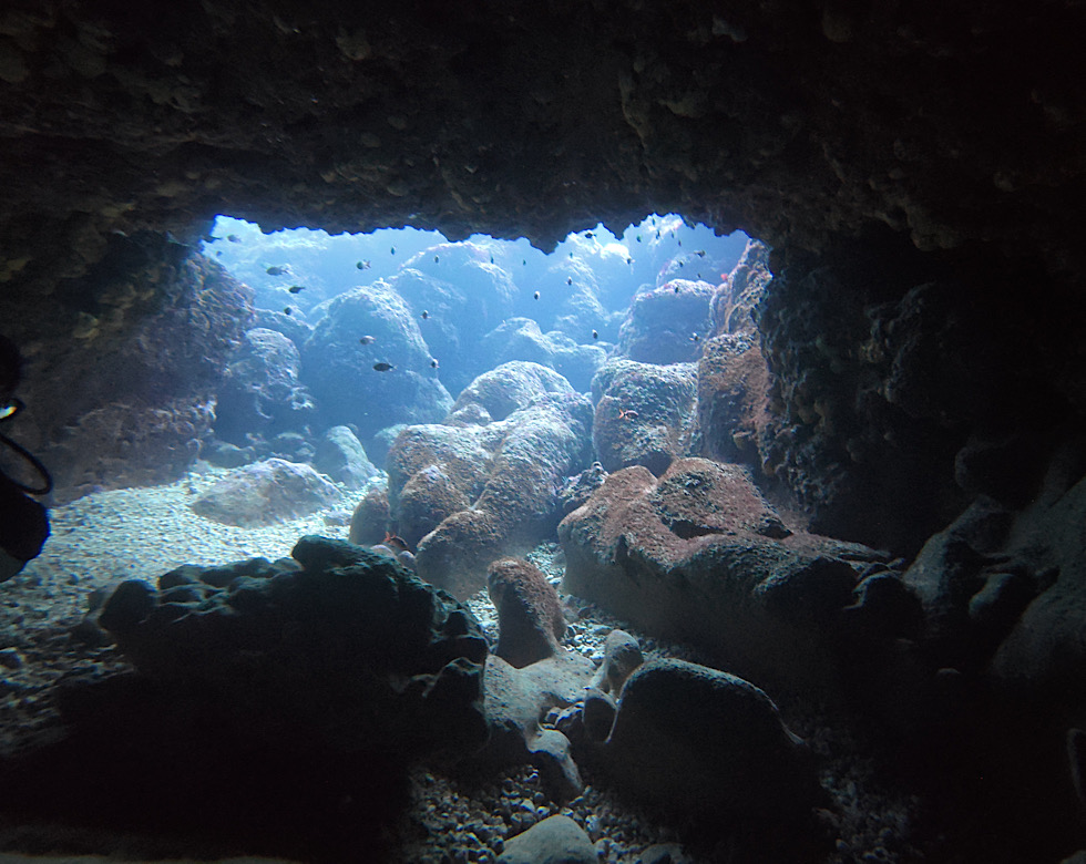 カラカラ先生伊良部島