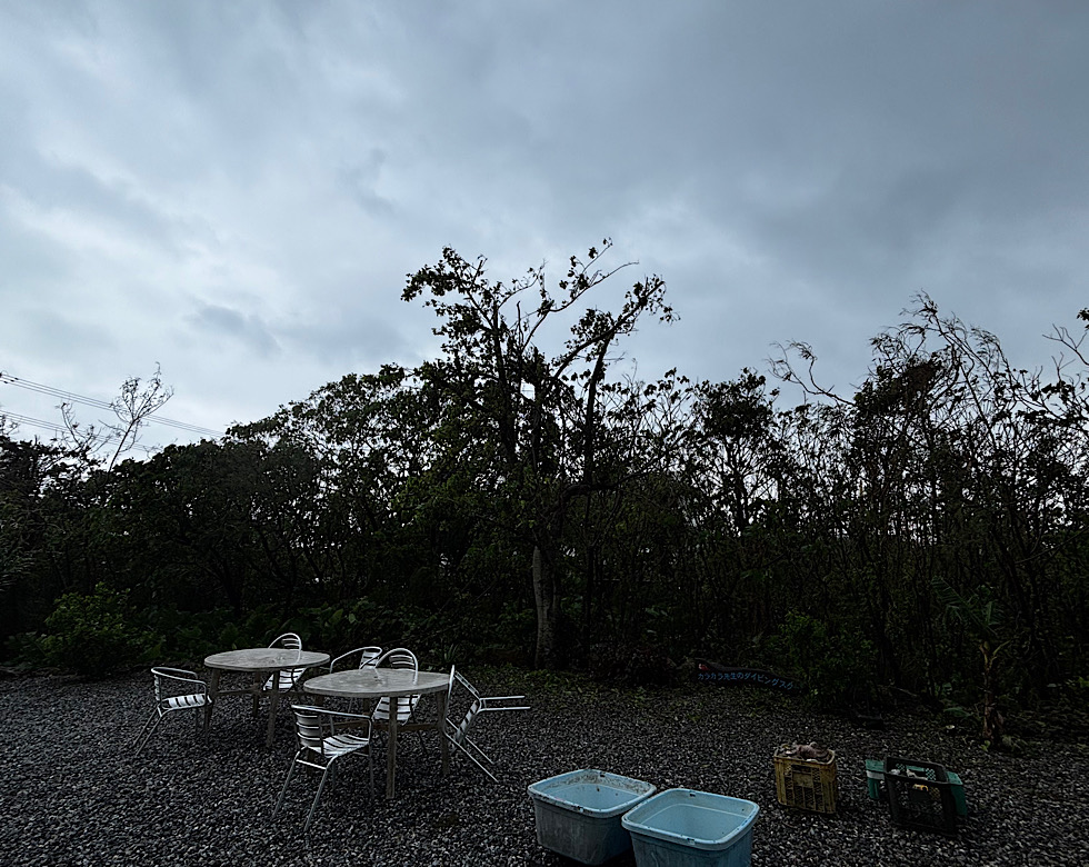 カラカラ先生台風解除