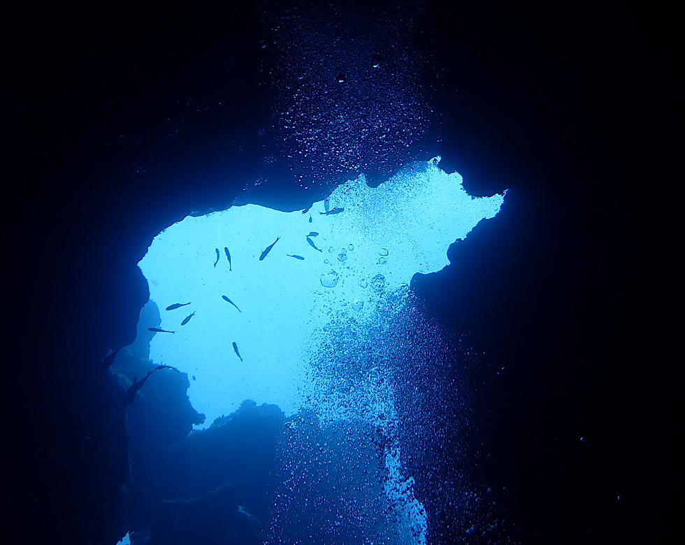 カラカラ先生伊良部島