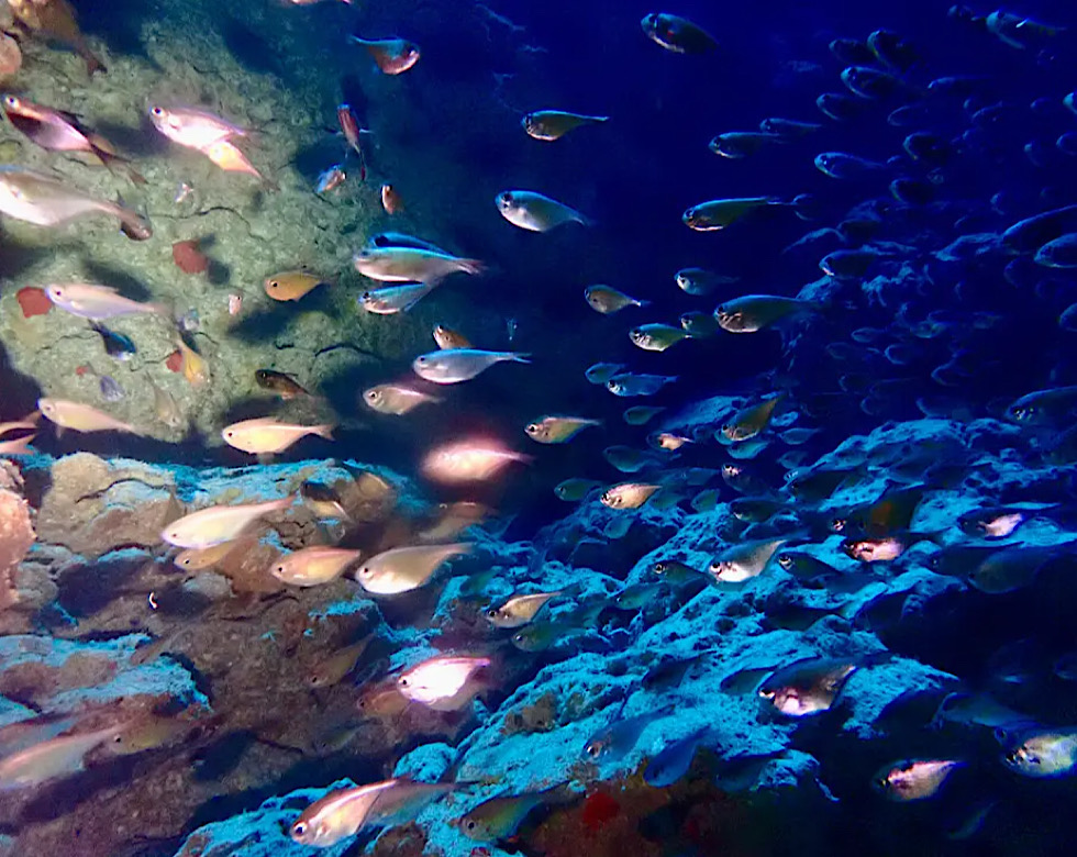 カラカラ先生下地島