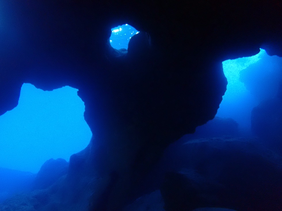 カラカラ先生南海岸