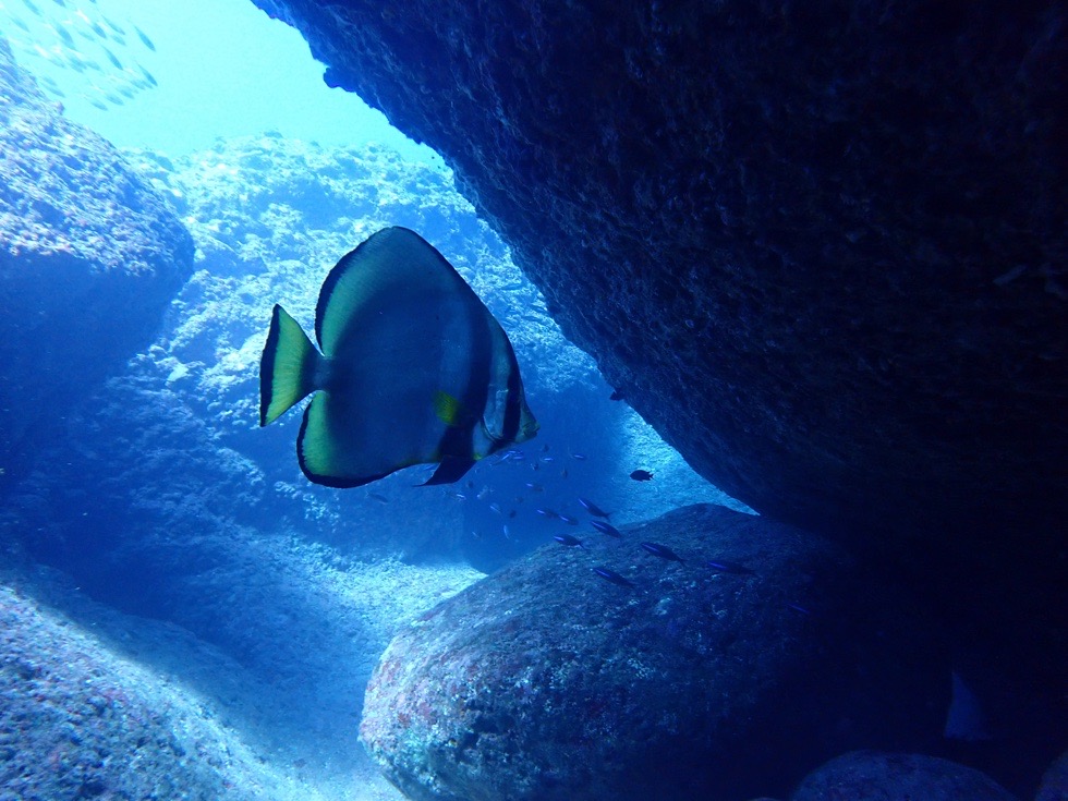 カラカラ先生　伊良部島